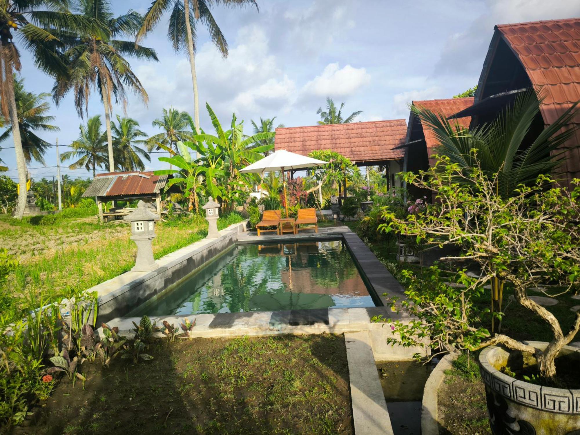 Eling Ubud Guesthouse Luaran gambar